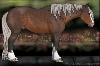Horse Color:Silver Brown Sabino Varnish 