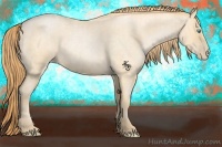 Horse Color:Buckskin Roan Pearl  and Buckskin Roan Pearl 