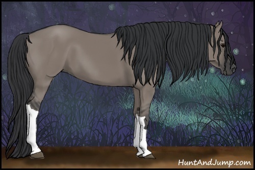 Horse Color:Grullo 