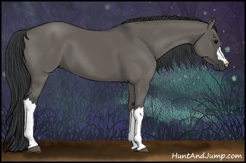 Horse Color:Grullo
