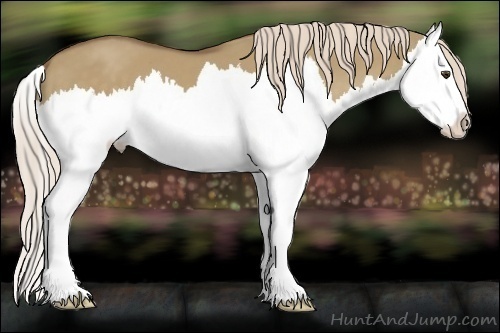Horse Color:Chocolate Palomino Dun Splash