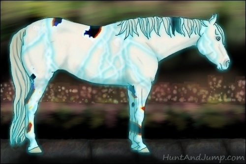 Horse Color:Thunderstruck Perlino Dun Tobiano Frame 