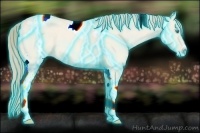 Horse Color:Thunderstruck Perlino Dun Tobiano Frame 