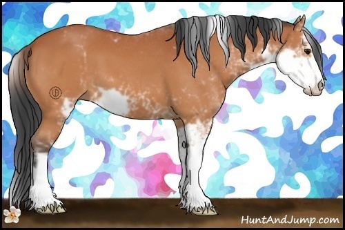 Horse Color:Bay Sabino
