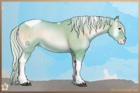 Horse Color:Watercolor Silver Blue Onyx Pearl Tobiano 