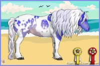Horse Color:Watercolor Silver Brown Chinchilla Tobiano Appaloosa