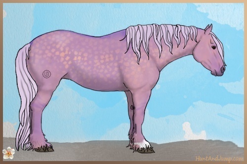 Horse Color:Watercolor Silver Grullo