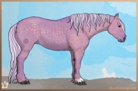 Horse Color:Watercolor Silver Grullo 
