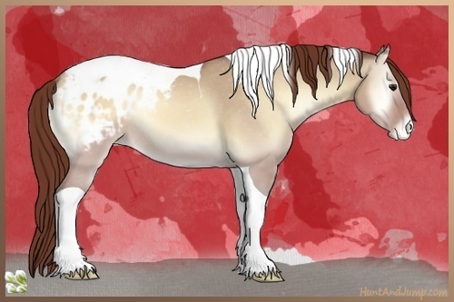 Horse Color:Sable Champagne Onyx Tobiano Blanket Rabicano 