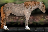 Horse Color:Chestnut Ice 