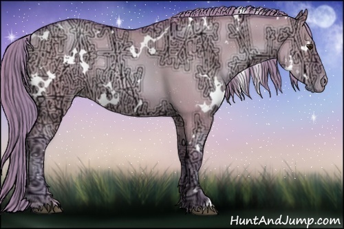 Horse Color:Watercolor White Spotted Grullo Ice Pearl Rabicano 