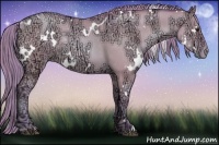 Horse Color:Watercolor White Spotted Grullo Ice Pearl Rabicano 