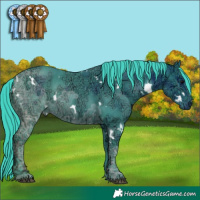 Horse Color:Watercolor White Spotted Black Ice