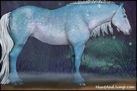 Horse Color:Watercolor Silver Black Chinchilla Sabino 