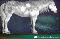 Horse Color:Silver Black Chinchilla Splash