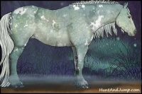 Horse Color:Watercolor White Spotted Silver Black Chinchilla Ice 