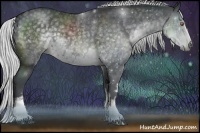 Horse Color:White Spotted Silver Black Chinchilla 