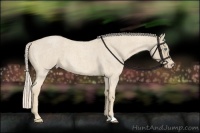 Horse Color:Cremello Roan 