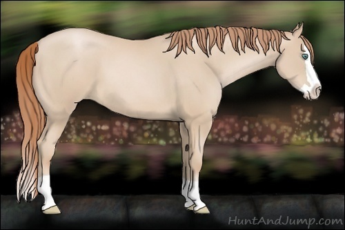 Horse Color:Smoky Black Pearl Splash