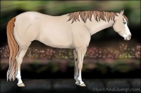 Horse Color:Smoky Black Pearl Splash 