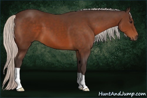 Horse Color:Silver Brown 