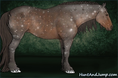 Horse Color:Liver Chestnut Rabicano 