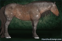 Horse Color:Liver Chestnut Rabicano 