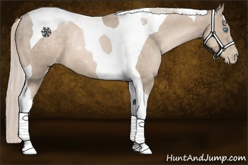 Horse Color:Chocolate Palomino Pearl Tobiano 