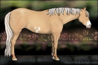 Horse Color:Silver Sable Champagne Frame