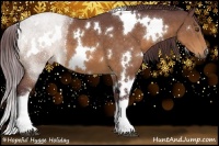 Horse Color:White Spotted Chocolate Buckskin 