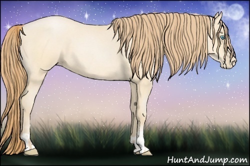 Horse Color:Buckskin Roan Pearl and Buckskin Roan Pearl