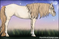 Horse Color:Buckskin Roan Pearl and Buckskin Roan Pearl