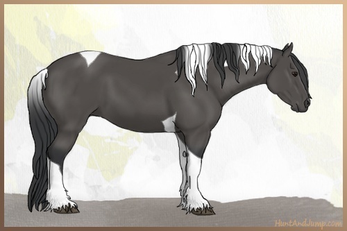 Horse Color:Black Tobiano