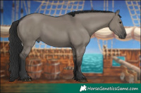 Horse Color:Grullo 