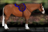 Horse Color:Silver Bay Splash 