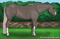 Horse Color:Silver Black 