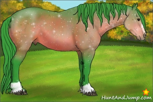 Horse Color:Watercolor Bay Sabino 