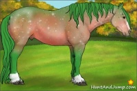 Horse Color:Watercolor Bay Sabino