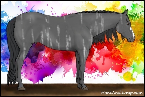 Horse Color:Black Ice 