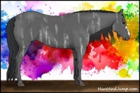 Horse Color:Black Ice
