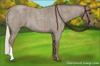 Horse Color:Silver Smoky Blue Roan 