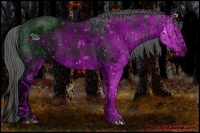 Horse Color:ERROR: UNKNOWN ANOMALY and ERROR: UNKNOWN ANOMALY