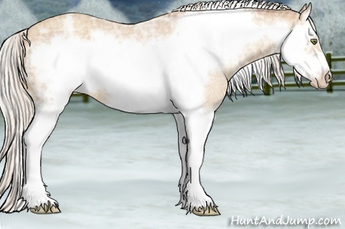 Horse Color:Silver Classic Champagne Ice Roan Splash Frame 