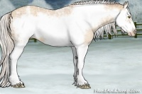 Horse Color:Silver Classic Champagne Ice Roan Splash Frame 