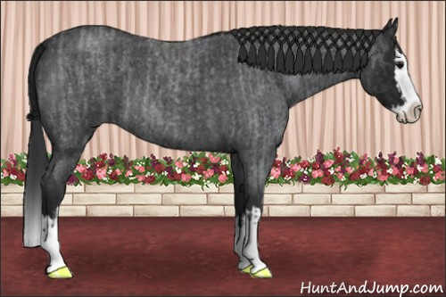 Horse Color:Blue Roan Sabino Splash  and Gray Blue Roan Sabino Splash 