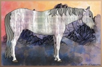 Horse Color:Plaid Chocolate Palomino Ice Roan