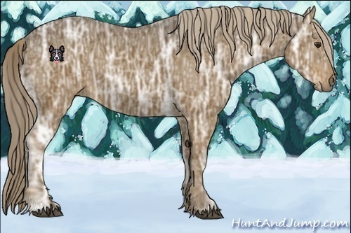 Horse Color:Chocolate Palomino Ice 