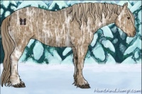 Horse Color:Chocolate Palomino Ice