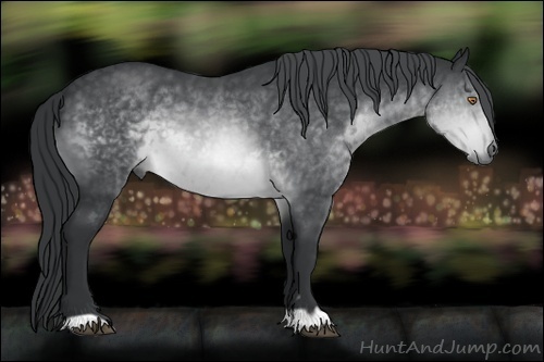 Horse Color:Brown Chinchilla 