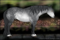 Horse Color:Brown Chinchilla 